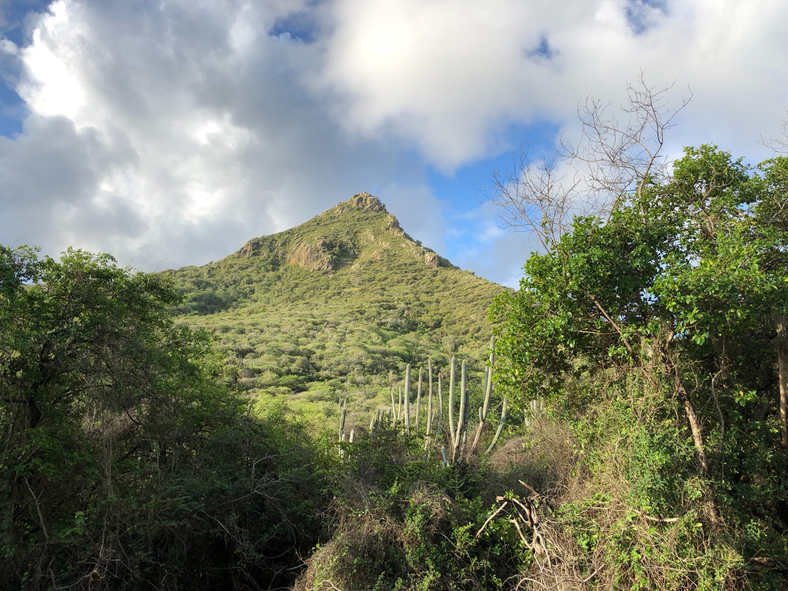Christoffelberg,_Curaçao_Feb_26,_2018_08-05-27 Christoffelberg,_Curaçao_Feb_26,_2018_08-05-27